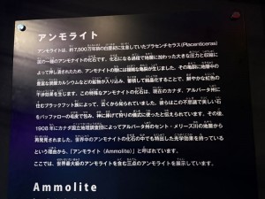 アンモライト説明