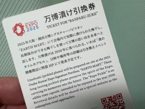 万博漬け